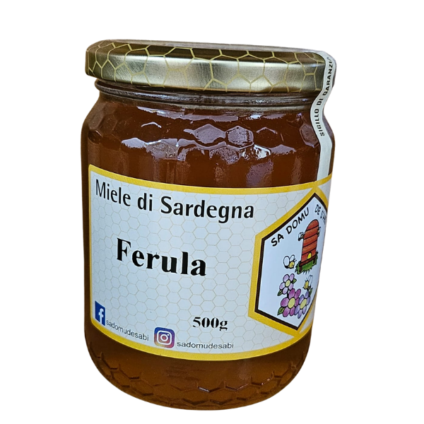 Miele di ferula